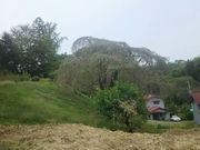 ����������̎O�t��Ղ̓��e�ʐ^8