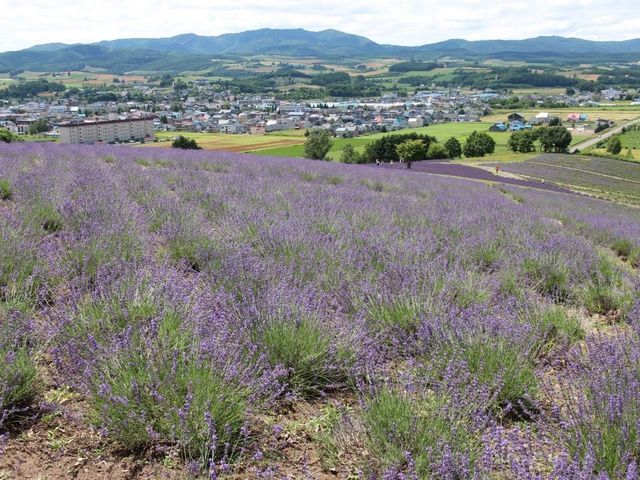 �����������낹�܂�_���x���_�[��