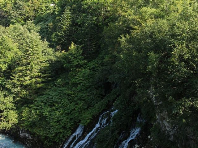 �����ɂ͏\���x�A��_���Ђ��̑�