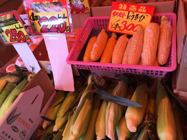 �Ƃ����낱��_���������s���O�s��