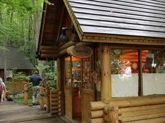 񂳂̃VbsO[hujOeXvւ̓eʐ^1