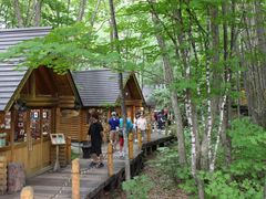 񂳂̃VbsO[hujOeXvւ̓eʐ^2