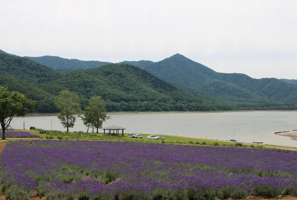 かなやま湖