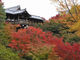 マシオさんの東福寺（京都府京都市）への投稿写真2