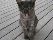 micky7777̗nȂV̓eʐ^1