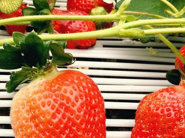 �����������Y��Ȃ�����_�����������