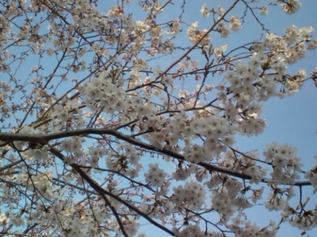 ́[̂̉̍iL?V?aj̓eʐ^1