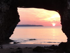 ̂낳̍Rr[`ւ̓eʐ^1