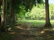 ݂Ԃ̊ω̐ΕQ̓eʐ^1