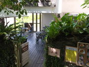 kijimunar̐Ώ@^̓eʐ^1