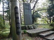 т񂳂̐򋾉ԋ̓eʐ^1