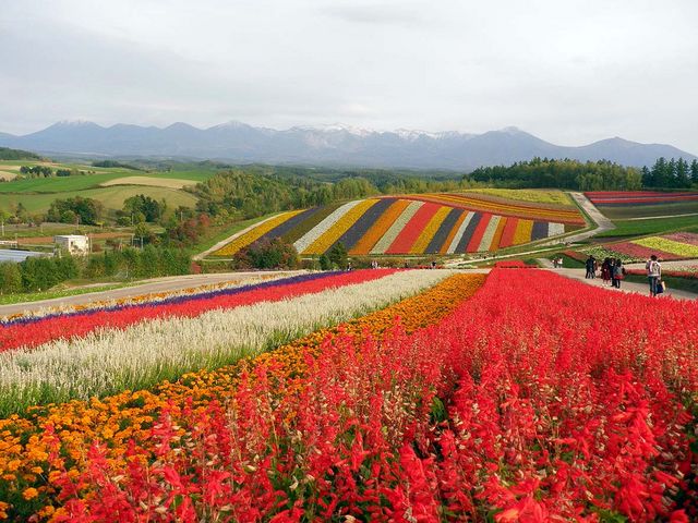 �H�ł�����Ȃ��Y��ł��B_�l�G�ʂ̋u