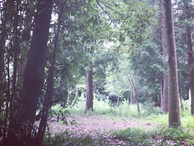 񂿂񂳂̈RÕ̓eʐ^1