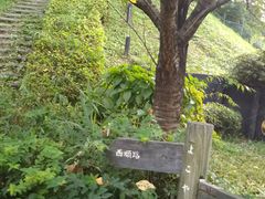 cJ擙X͂̏Zl̑悱܂̓ւ̓eʐ^1