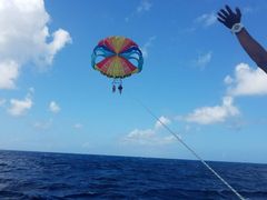 炳CoCoMarineւ̓eʐ^1