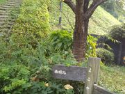 cJ擙X͂̏Zl̑悱܂̓̓eʐ^1