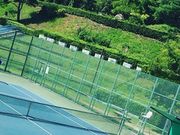 񂿂񂳂̔EX|[c̓eʐ^1