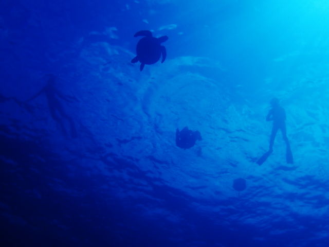 CŋLO̎ʐ^܂I__CrOT[rXЂsun