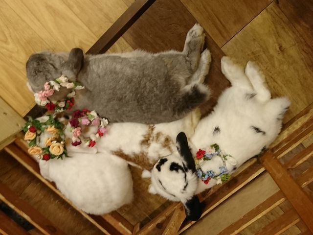 ӂӂ񂽂Ȃ悭ނĂ܂_JtF@ӂ