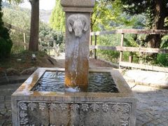 񂳂̍䥗΂̃~[WA n[xXg̋uւ̓eʐ^3