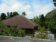 ��������^������񂳂�̋{�Ǔa���̓��e�ʐ^1