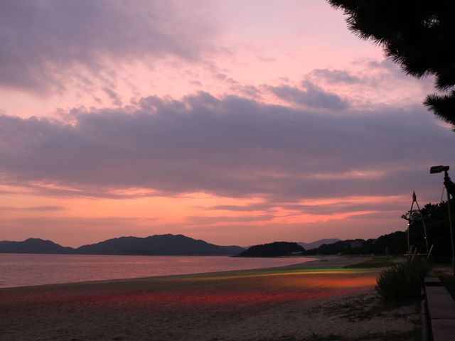 �[�Ă�_���P�l�C������