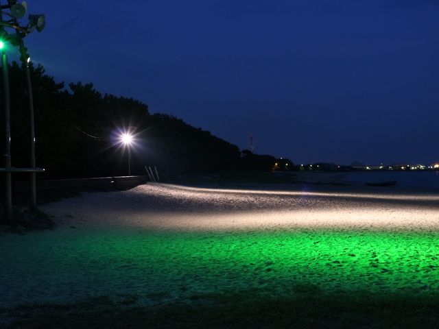 ���C�g�A�b�v_���P�l�C������