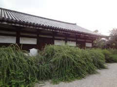 イオンさんの元興寺の萩の投稿写真1