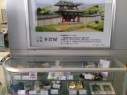 Cbcpp̎jsόēiw\j̓eʐ^3