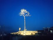 yosiki̊Ղ̈{̓eʐ^1