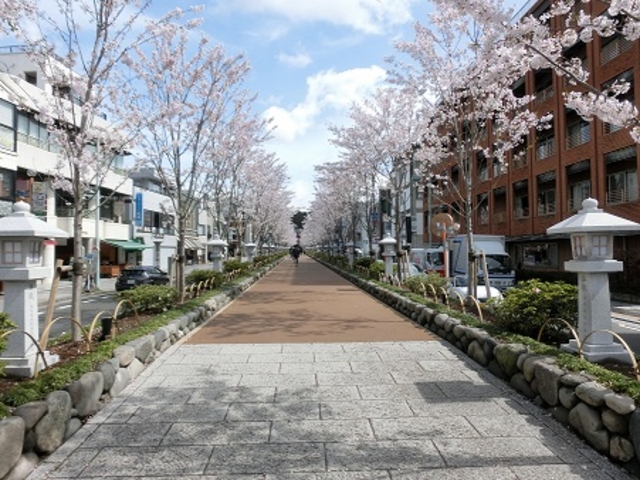 VȂĂPN߂ƂB
΂č炢Ă܂B_i