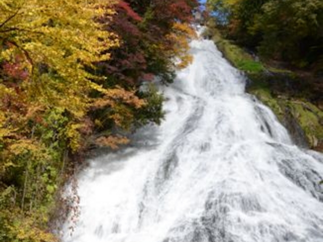 ������̓���_����