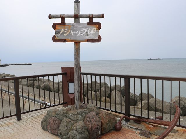 �m�V���b�v��_�m�V���b�v��