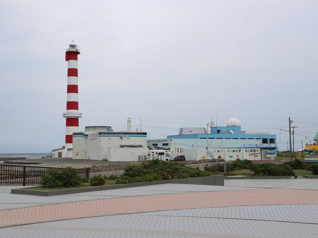 ������_�m�V���b�v��