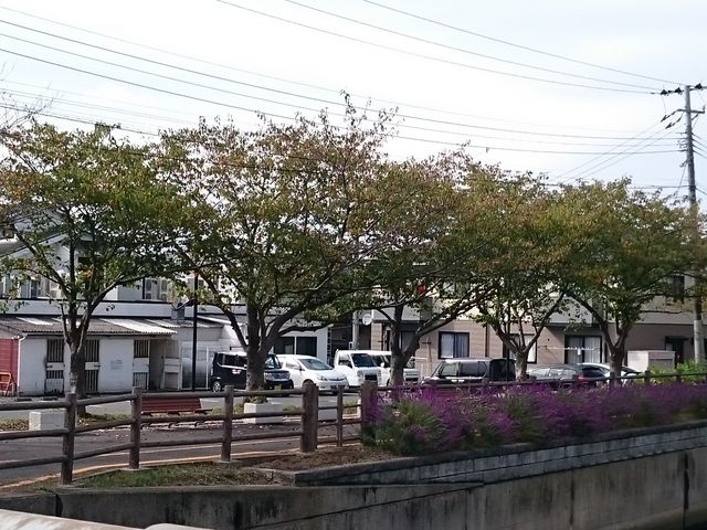 ���ԏꗠ�̋��R��_�ē� �E�G�X�g ���������X