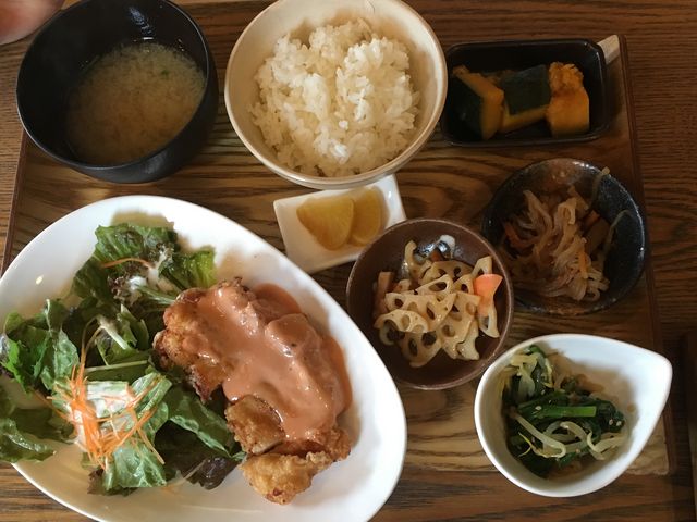 K[i`R̃e_[tB[O̓eʐ^1