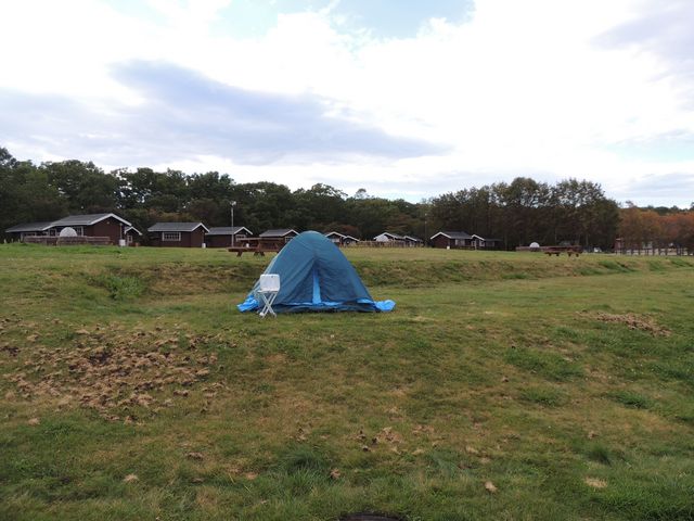 �L�����v��ƃo���K���[_���Џ��ӂꂠ���L�����v��