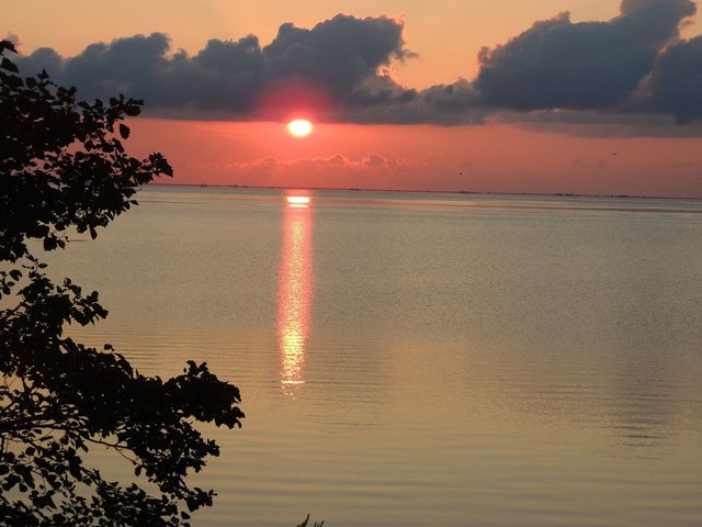 ����_���Џ��ӂꂠ���L�����v��