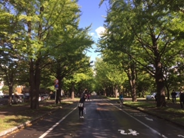 �w������Ɗό��q������݂���Ă܂�_�k��C�`���E����