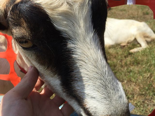 䂤̂ЂMRXm[][gARsA̓eʐ^1