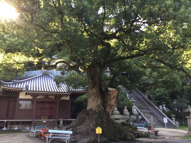 }Cann̊ω̑NX̓eʐ^1