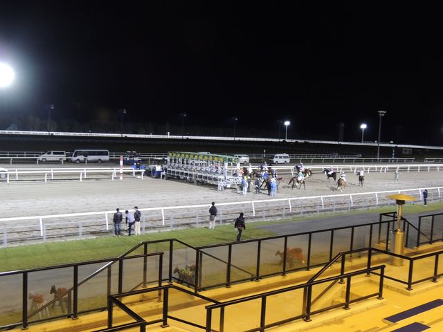 ���_��ʋ��n��