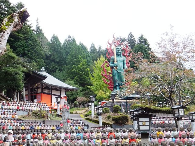 ���ڂ炳��̋ʌj���̓��e�ʐ^5