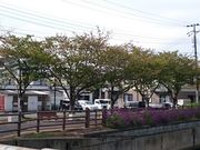 񂿂񂳂̏ē EGXg X̓eʐ^1