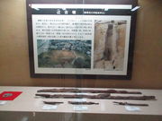 midori̔ђˎsjق̓eʐ^5