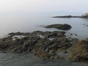 ڂ肳̐VẩYC݂̓eʐ^1