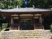 �}�C�a�n�n����̔������̓��e�ʐ^1