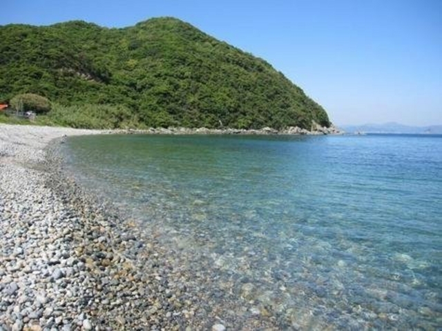 �n�P���C������