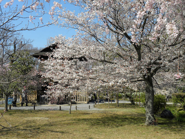 �t�A�����ɍ����炫�ւ�_�����i�k�k�@�j