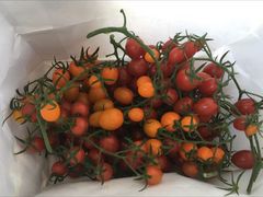 Ƃ̂ǂEEH[^[Et@[ւ̓eʐ^1